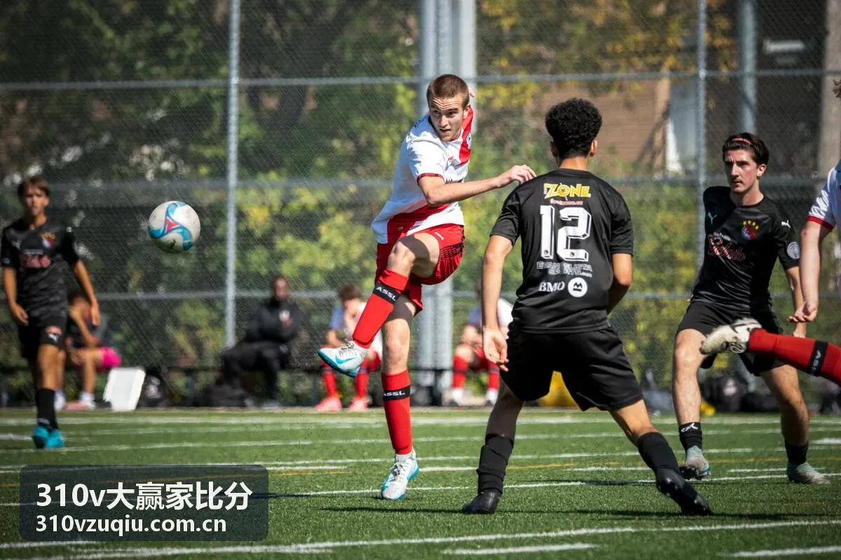 310v大赢家比分比分历史回顾